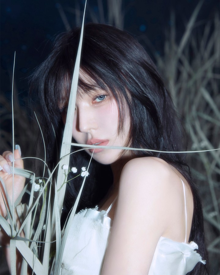 Wendy (Red Velvet) Perfil&nbsp;(2026)