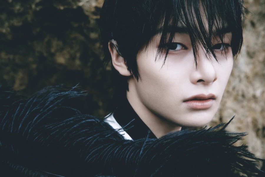 I.N (Stray Kids) Perfil&nbsp;(2026)